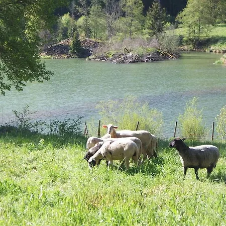 With 3 Bedrooms * Messstetten